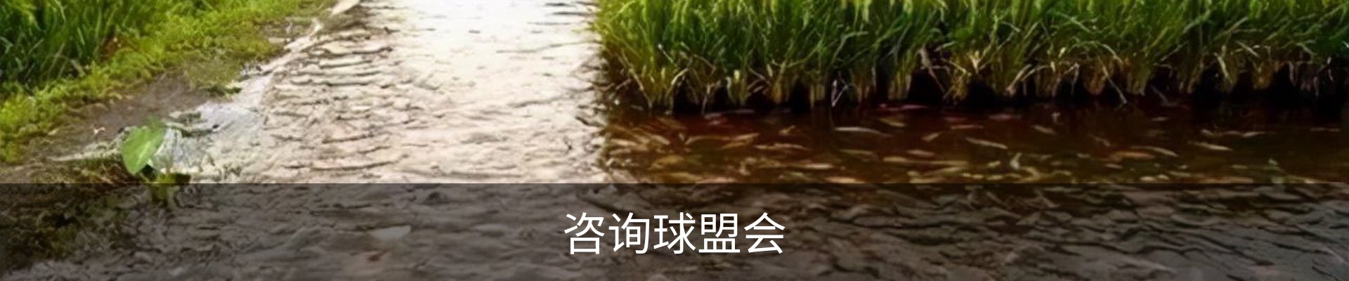 内页banner